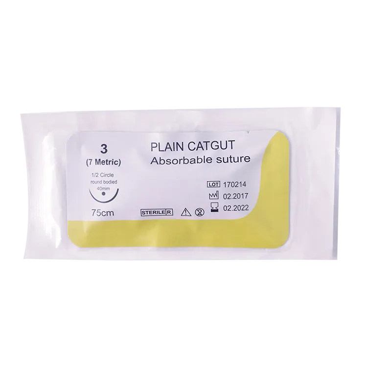 plain catgut suture